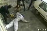 Polizeihunde